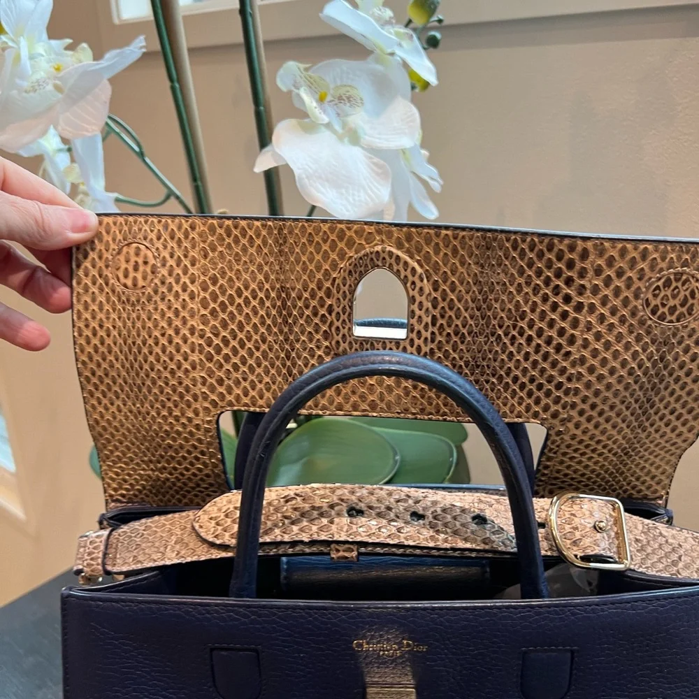 Dior Python Satchel - Picture 3 of 6